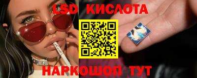 PSILOCYBIN Свободный