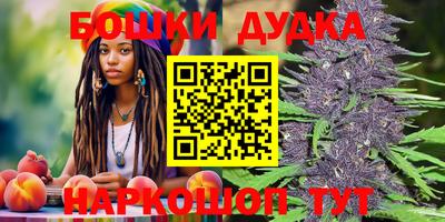 PSILOCYBIN Свободный